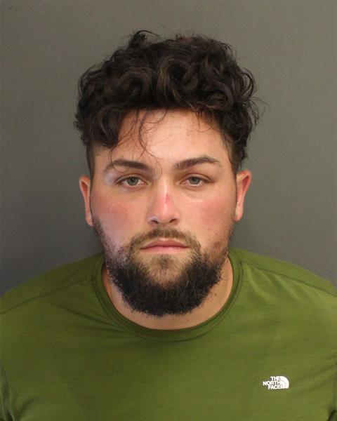 AUSTIN BRYCE PALLADINO Mugshot / County Arrests / Orange County Arrests