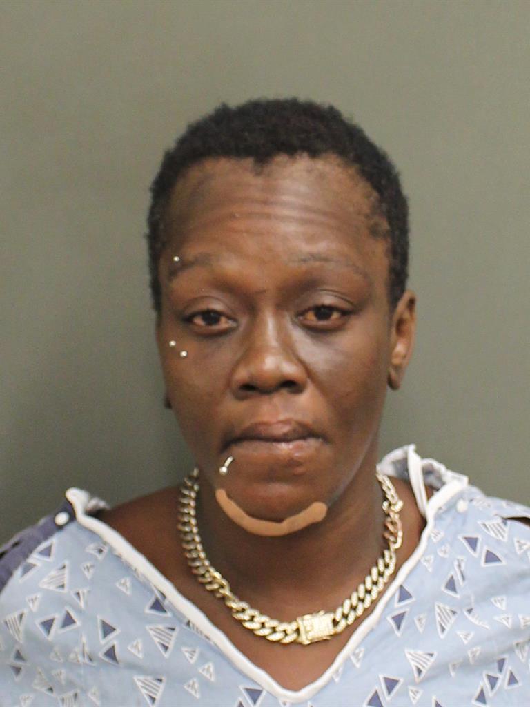  SHEENA FISHER Mugshot / County Arrests / Orange County Arrests