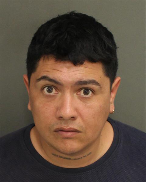  ANDRES JOHANY CHAVESOTALORA Mugshot / County Arrests / Orange County Arrests