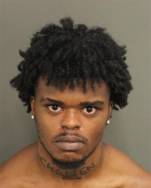  HENRY MAURICE WARNER Mugshot / County Arrests / Orange County Arrests