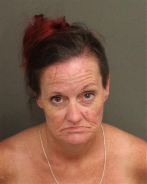  DANA MCDANIEL Mugshot / County Arrests / Orange County Arrests