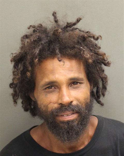  AUSTIN L BRADSHAW Mugshot / County Arrests / Orange County Arrests