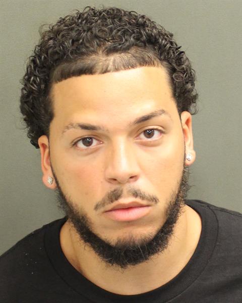 WILLIAM JOSE REYES Mugshot / County Arrests / Orange County Arrests