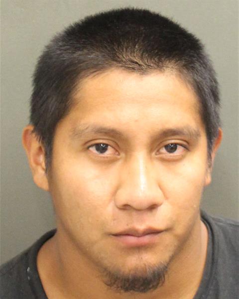  EDWIN AMILCAR DOMINGOMEJIA Mugshot / County Arrests / Orange County Arrests