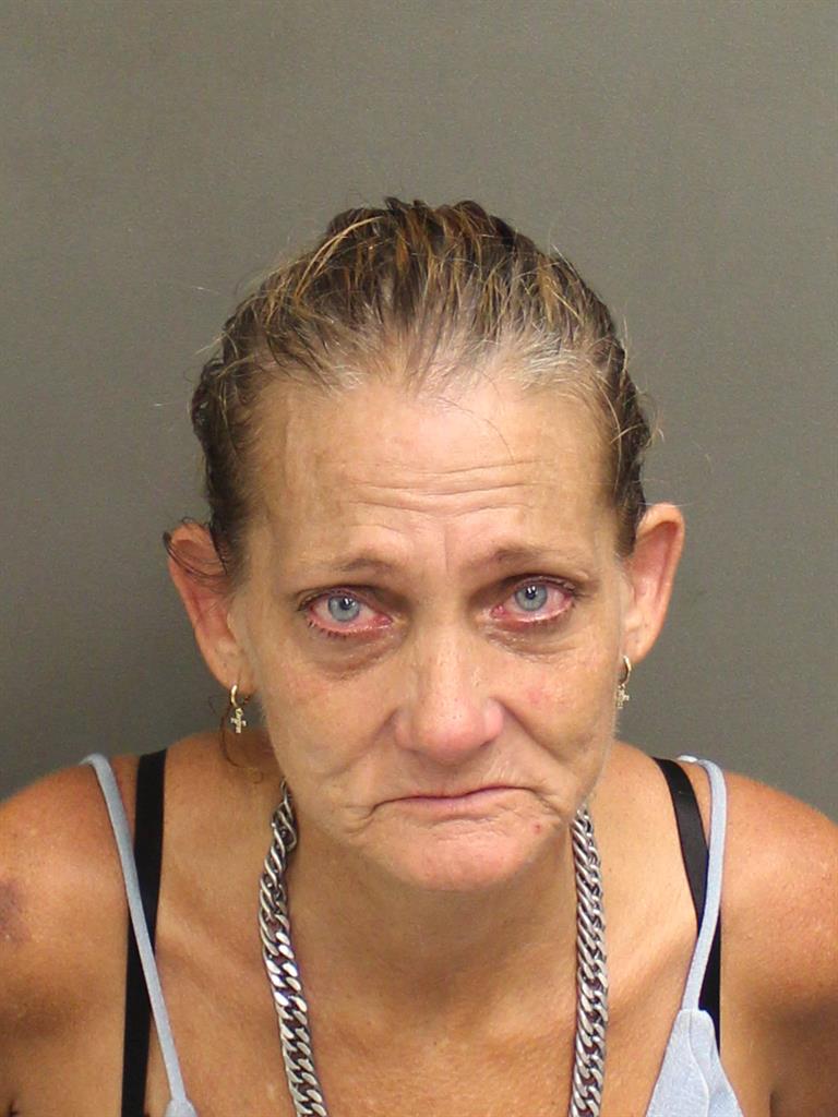  BRANDY SCOTT POWERS Mugshot / County Arrests / Orange County Arrests