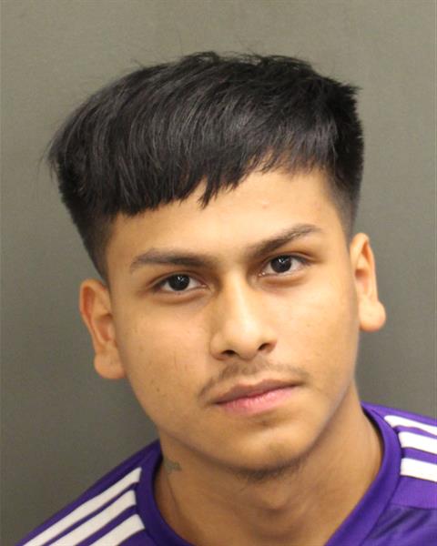  EMERSON NAMBOLOPEZ Mugshot / County Arrests / Orange County Arrests