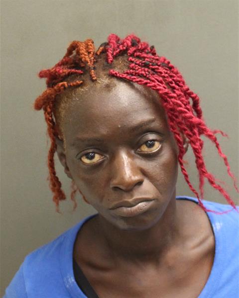  ROSELIN SULVERAIN Mugshot / County Arrests / Orange County Arrests