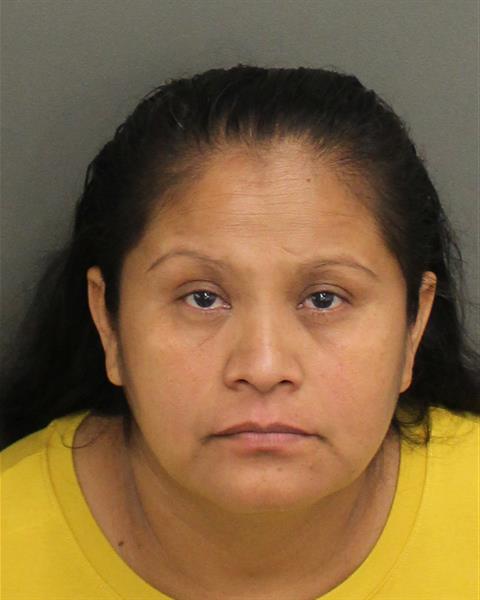  CARMELITA NAVARRETEJUAREZ Mugshot / County Arrests / Orange County Arrests