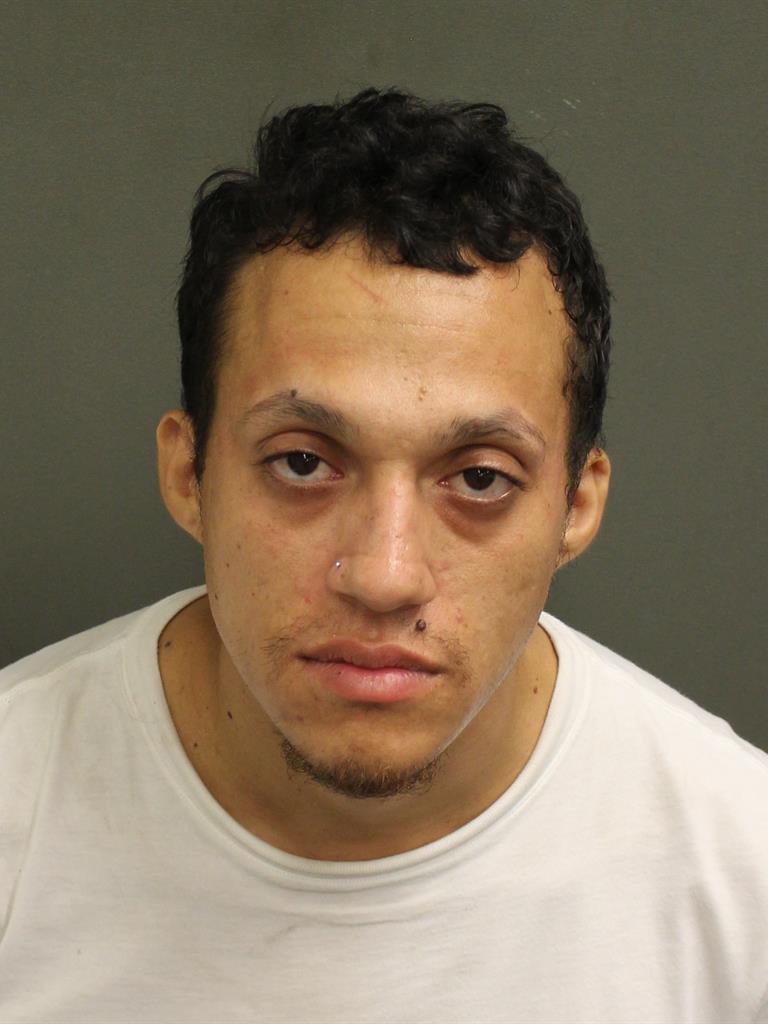  AUSTIN CHRISTOPHER GOODELL Mugshot / County Arrests / Orange County Arrests