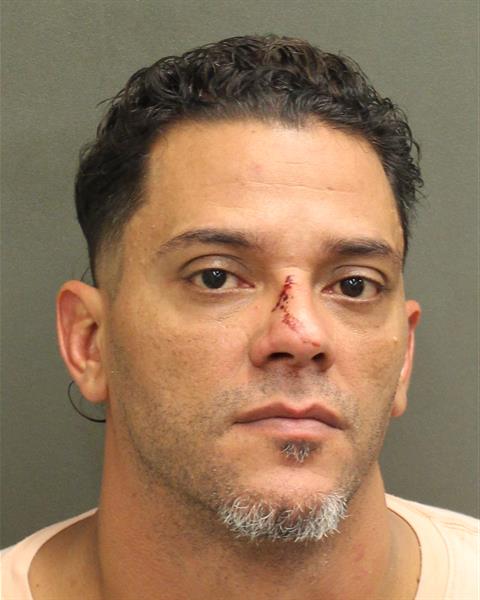 LUIS ALBERTO IRIZARRY Mugshot / County Arrests / Orange County Arrests