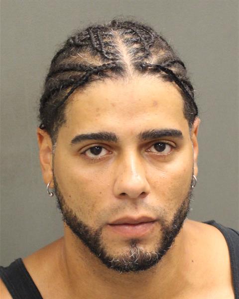  CESAR MANUEL REYES Mugshot / County Arrests / Orange County Arrests