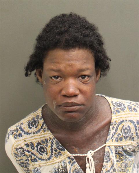  TAAFEE PEBBLES NEAL Mugshot / County Arrests / Orange County Arrests