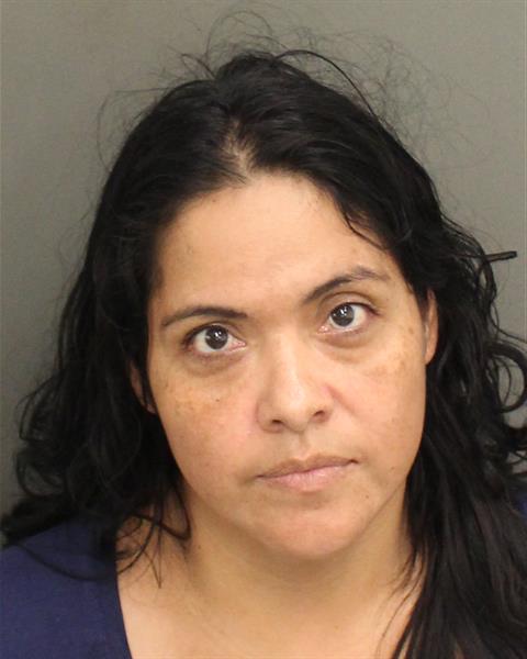  LIONIDES CAMPUSANO Photo Image