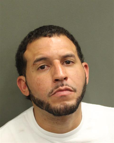 LUIS MANUEL MARTINEZ Mugshot / County Arrests / Orange County Arrests