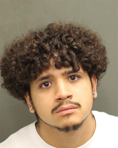  ADRIAN CARCAMO Mugshot / County Arrests / Orange County Arrests