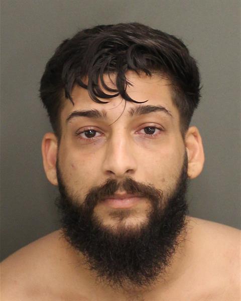  FABRIZIO MICLESCU Mugshot / County Arrests / Orange County Arrests