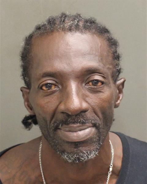  WILLIE JAMES JR ELLISON Mugshot / County Arrests / Orange County Arrests