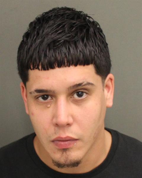  DIEGO ARMANDO CAPESTANYIRIZARRY Mugshot / County Arrests / Orange County Arrests