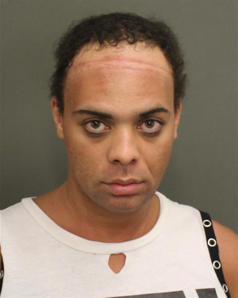  ETHAN CASE HASS Mugshot / County Arrests / Orange County Arrests
