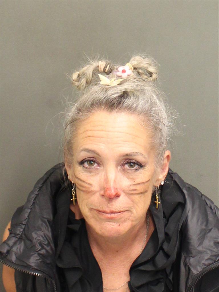  DEBBI ANNE RYAN Mugshot / County Arrests / Orange County Arrests