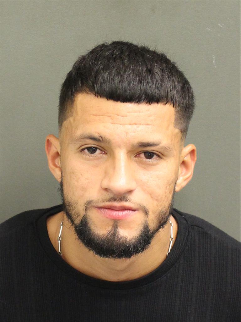  LUIS FLORES MARTINEZ Mugshot / County Arrests / Orange County Arrests