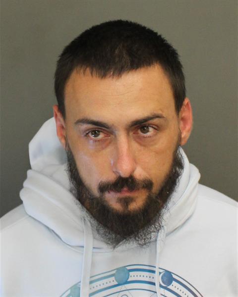  IGOR OLEGOVICH DENISYUK Mugshot / County Arrests / Orange County Arrests