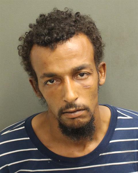  NATHAN A MCCALL Mugshot / County Arrests / Orange County Arrests