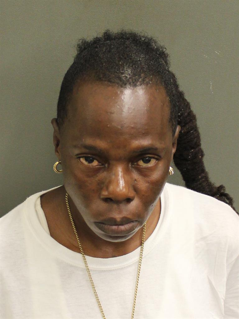 MARY YVES LUCATE Mugshot / County Arrests / Orange County Arrests