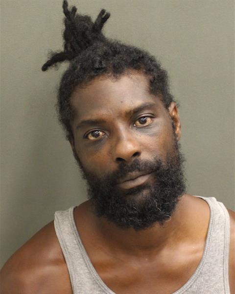  TERRANCE LAMAR HOLLOMAN Mugshot / County Arrests / Orange County Arrests