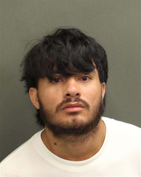 GERLAM IBANNY VILLALOBO TEJADA Mugshot GERLAM IBANNY VILLALOBO TEJADA Mugshot / County Arrests / Orange County Arrests