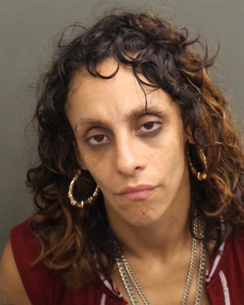  JESSICA LUZ GONZALEZ Mugshot / County Arrests / Orange County Arrests