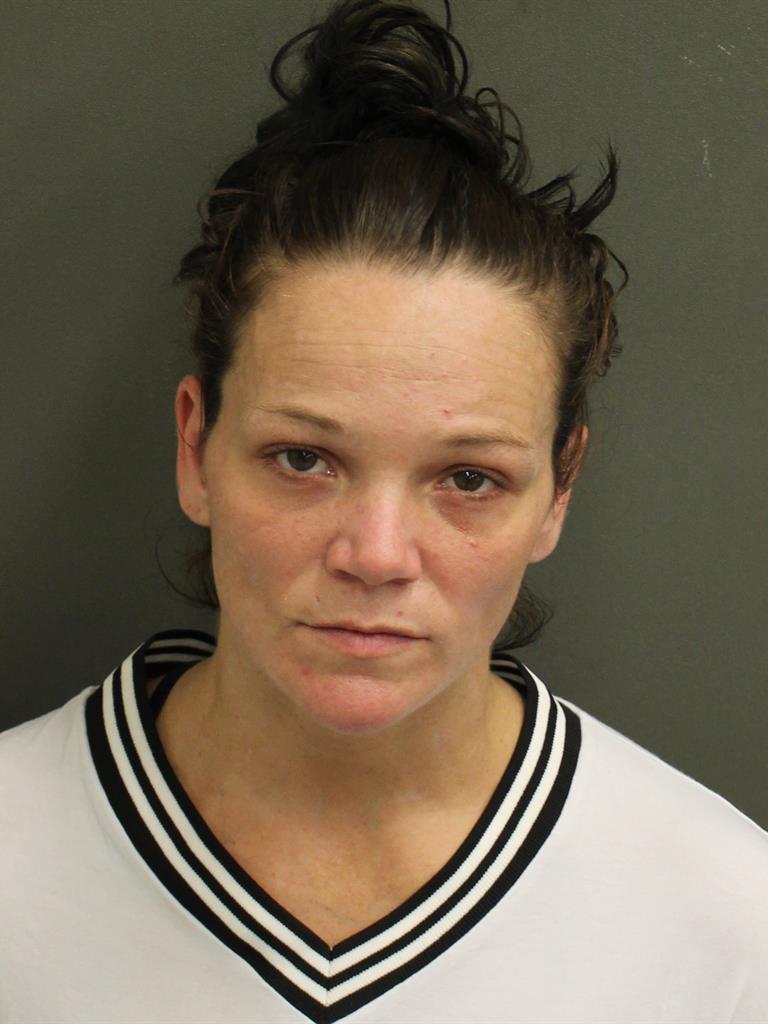  HEATHER RENEE REYNOLDS Mugshot / County Arrests / Orange County Arrests