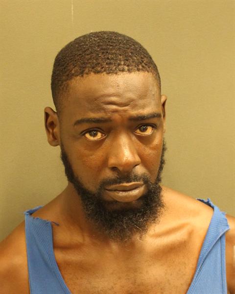  SHAWN L SAFFORD Mugshot / County Arrests / Orange County Arrests