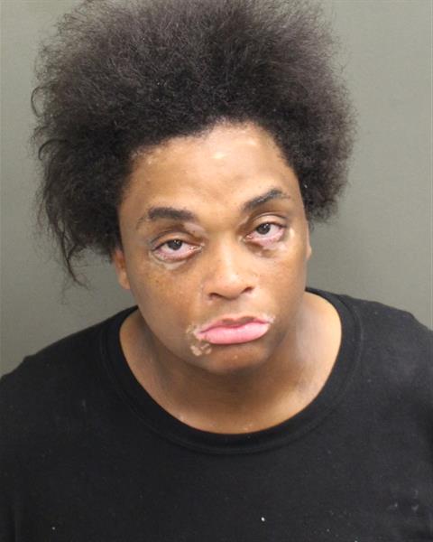  DAWNITE RAYNELLE BIRDSONG Mugshot / County Arrests / Orange County Arrests