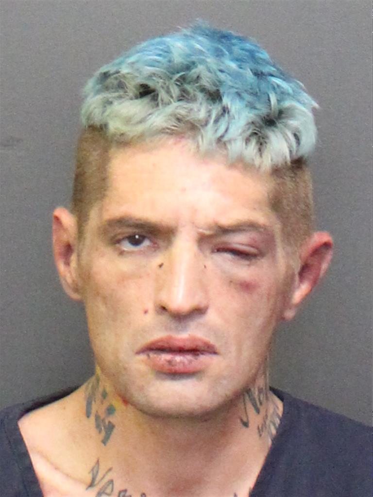  THOMAS ANTHONY RINALDI Mugshot / County Arrests / Orange County Arrests