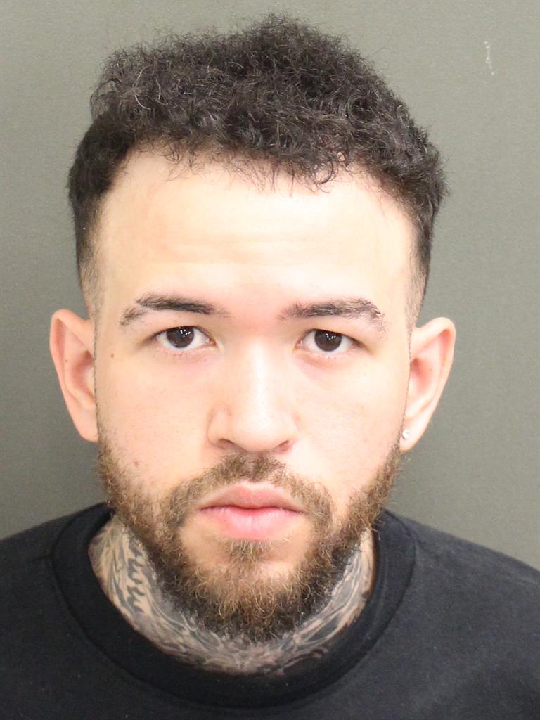  CAROL ALEJANDRO CASTRO PRADO Mugshot / County Arrests / Orange County Arrests