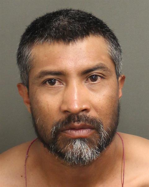  DAVID ACOCA Photo Image