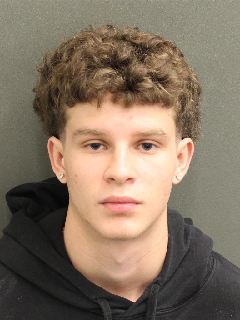  DOMINIC WILSON LAYTON Mugshot / County Arrests / Orange County Arrests