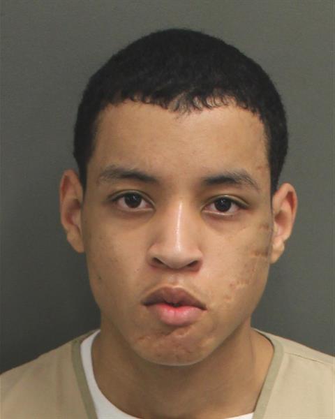  RICARDO LUIS PETERSON Mugshot / County Arrests / Orange County Arrests