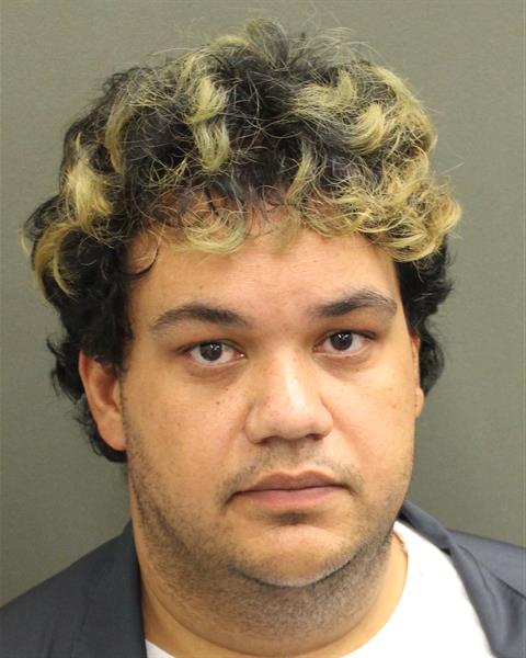  FRANK EMIL SALAS CHALUISANT Mugshot / County Arrests / Orange County Arrests