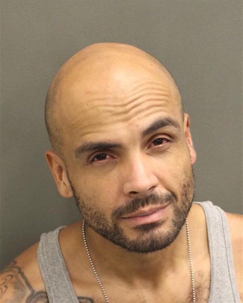  DAVID  JR TRUJILLO Mugshot / County Arrests / Orange County Arrests