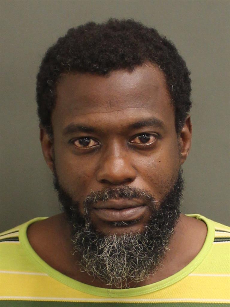  CHICO RICE Mugshot / County Arrests / Orange County Arrests