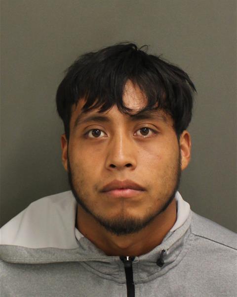  FRANCISCO SUC-SUC Mugshot / County Arrests / Orange County Arrests
