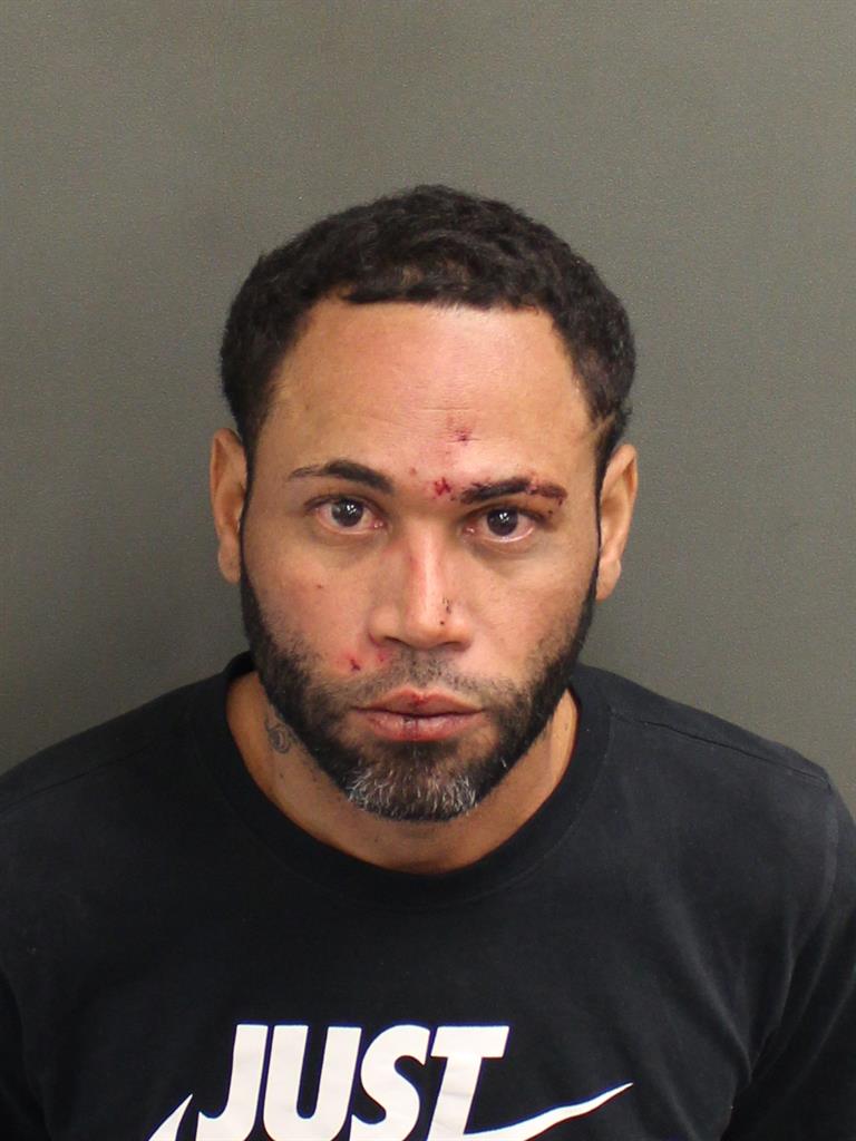 NELSON AIRAM LABOYPIRELA Mugshot NELSON AIRAM LABOYPIRELA Mugshot / County Arrests / Orange County Arrests
