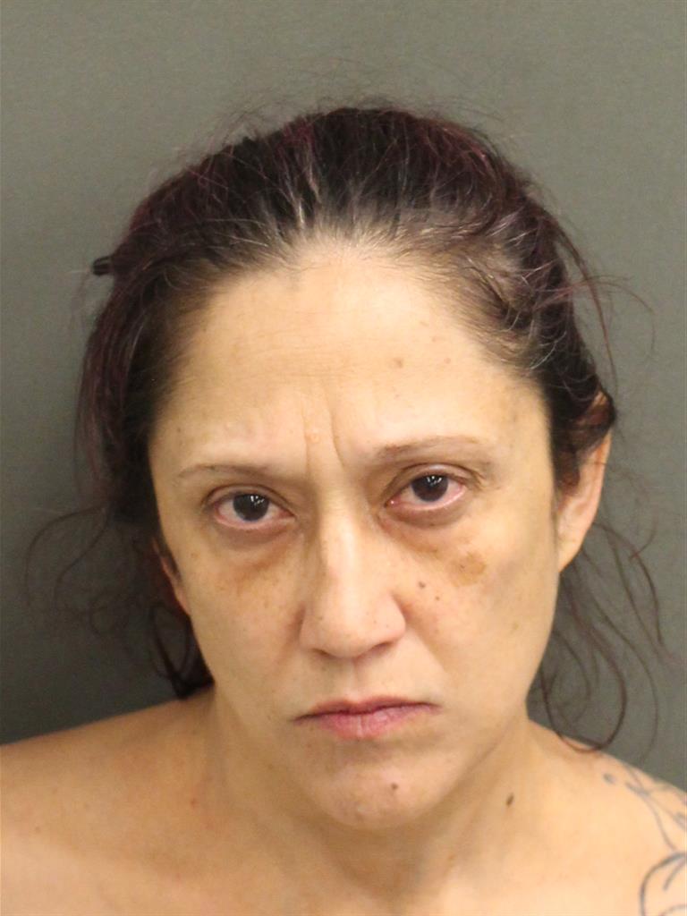  ELIZABETH ANN LYONS Mugshot / County Arrests / Orange County Arrests