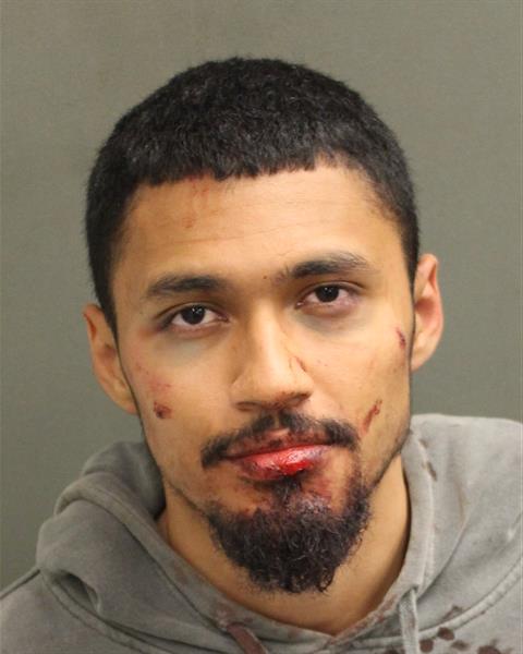  JESSE ANTHONY DELCARPIO Mugshot / County Arrests / Orange County Arrests