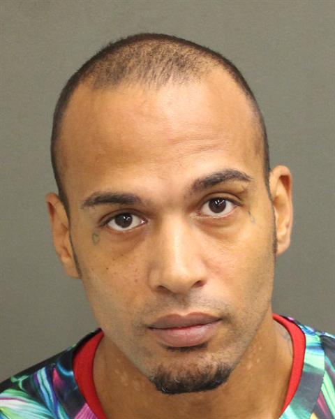  STEVEN RIED RAMBO Mugshot / County Arrests / Orange County Arrests