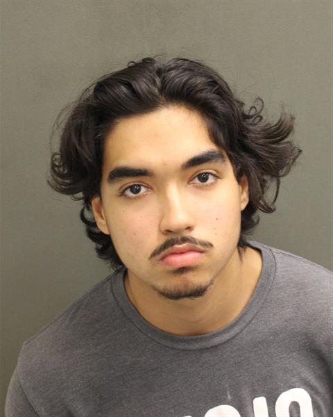  ALLAN TIBALDO GONZALEZ Mugshot / County Arrests / Orange County Arrests