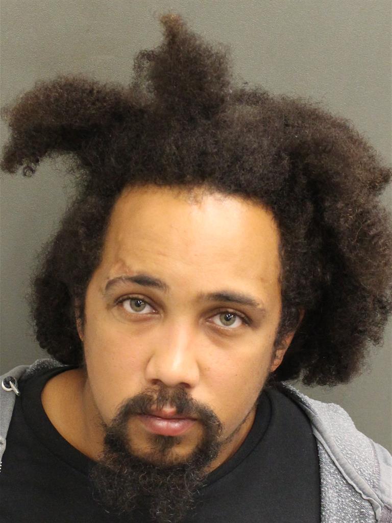  TYLER SAMUEL RHODES Mugshot / County Arrests / Orange County Arrests