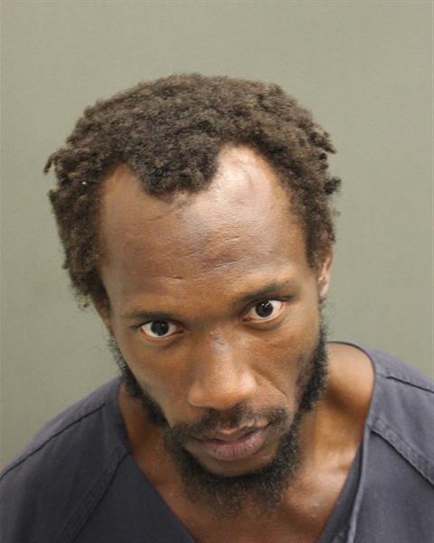  ANDERLE DURYEA JR BROWN Photo Image